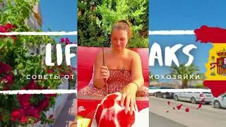 СЕРИАЛ📺 Как нарезать арбуз⁉️ Лайфаки от Испанской домохозяйки🇪🇦 тестим с @dobrovolskyichef650