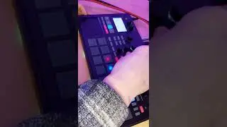 mellow elephant pressing buttons
