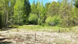 гляделки с лосишкой