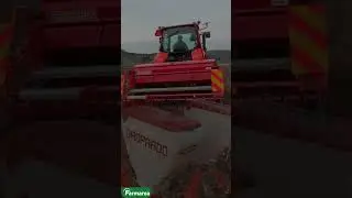Maschio Gaspardo