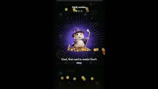 Hamster Kombat Daily Combo Card Today 24/06/2024