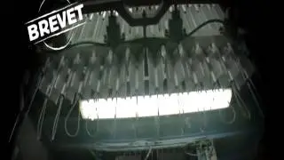 Компания Noirot
