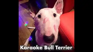 The Karaoke Bully: Loved by all!