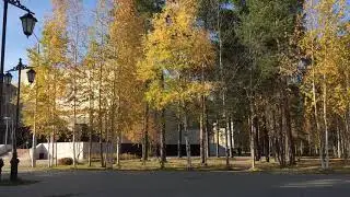 Осень в Когалыме дорога с #unawheel