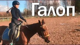 Лиза скачет верхом на лошади / Оля тоже не отстает