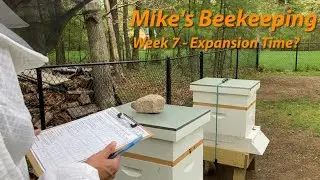 Week 7 - Expansion Time?