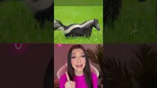 ANIMALS YOU’LL BE HAPPY DONT EXIST