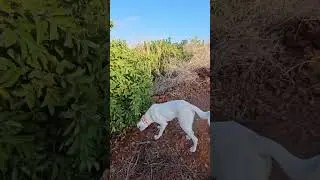 Доброе утро ❤️