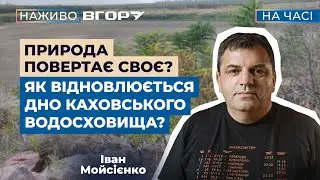 Верби понад 7 метрів: що на дні Каховського водосховища? Вгору. На часі