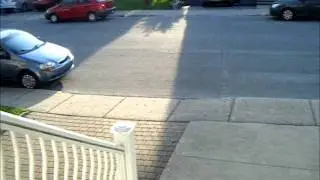 Bunny going up the stairs outside