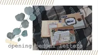 📥 Opening penpal letters Real Time + Ocean sounds 🌊
