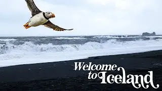 Iceland adventures