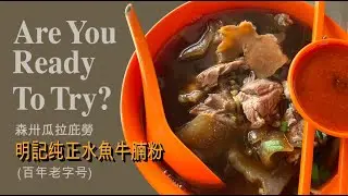 Medicinal Values Of Soft Shell Turtle Soup At Kuala Pilah (瓜拉庇勞明記纯正水魚牛腩粉)