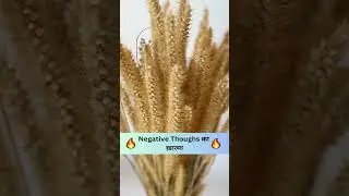 Negative Thoughs का ख़ात्मा ❤️❤️ 