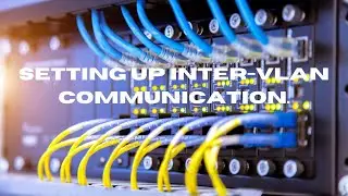 VLANS are simple: Learn how to configure them (part 2) 