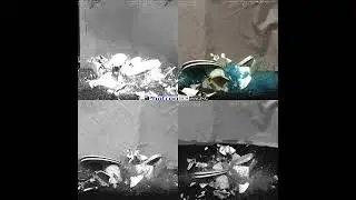 Toilet Drop and smash at 5,000 frame a second using 4 synchronized Photron high speed cameras