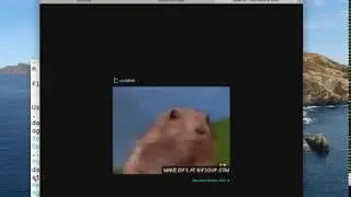 Getting gifs with the OAuth device code grant using golang