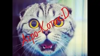 Агро-Котик:D | Животные😸