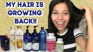 HOW TO GROW YOUR HAIR BACK!!! WHAT I DID! HAIR GROWTH TIPS!