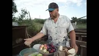 Нутрия  Летний рацион