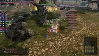 Rise Online Mage PK