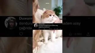 Rasim ozan müthiş bir zekaya sahip - Komik Video Yorumları 