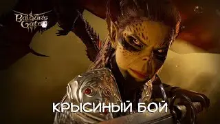 КРЫСИНЫЙ БОЙ - Baldur's Gate 3 #28
