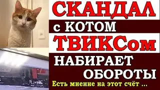 ⚡️ Скандал с котом ТВИКСом разгорается все больше и больше. Вот что случилось на самом деле ...