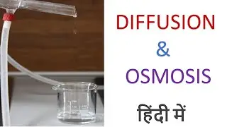 What is diffusion and osmosis, what is the difference between them?(In Hindi)