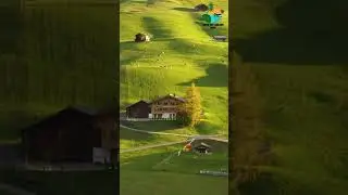 What a beauty