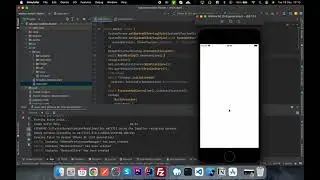 Run an existing flutter project on IDE