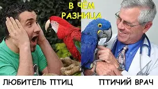 ЛЮБИТЕЛЬ ПТИЦ и ПТИЧИЙ ВРАЧ. В ЧЁМ РАЗНИЦА