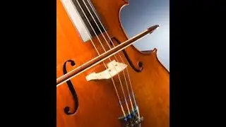 Suite No.1 Prelude by J.S.Bach Cello