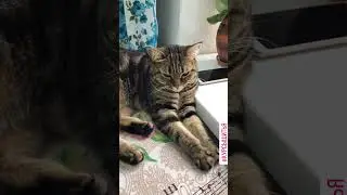 Моя комната для творчества