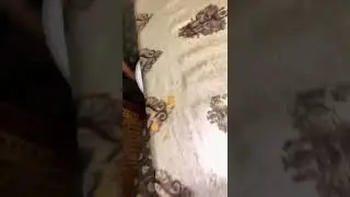 МАТЬ ГОДА #прикол #meme #memes #shorts