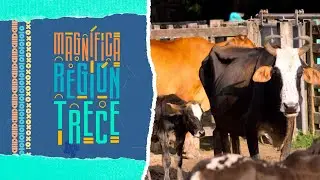 Magnífica Región Trece | Cap 31: Tauramena - Un paraíso terrenal (Parte 2)