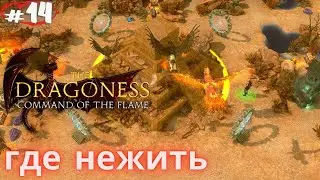 И это по вашему Некрополь??!...Прохождение The Dragoness: Command of the Flame #14