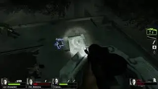 Left 4 Dead 2 (Pure Satisfaction Achievement)