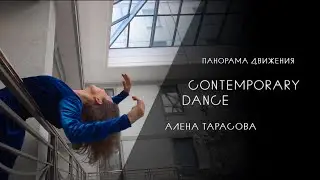 Панорама движения | Контемпорари, Алена Тарасова