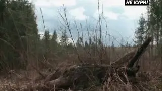 Hunting for grouse on a Lek