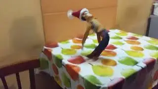 Вуди на полке 1часть с Даней