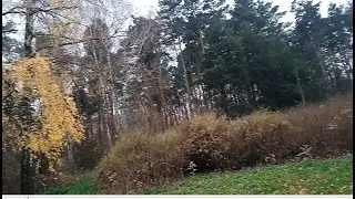 ПАРК АЛЕКСАНДРИЯ 07 10 2022Г ФРАГМЕНТЫ