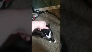Blake catches the fingers