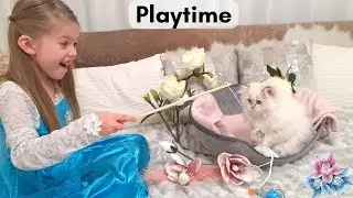 Kitten and Child Enjoy Playtime Together | Do cats play with children?