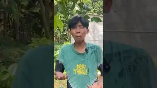 Ketika Boby Minta Uang Jajan