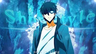 「Solo Leveling 」