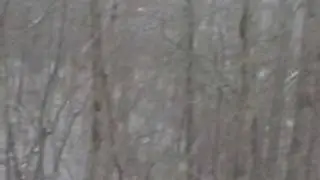 It might snow...(not sure)
