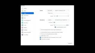 Advanced Zoom Audio Settings