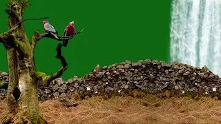 Waterfall Green Screen Animation / Nature Green Screen Background Video effects hd / Free Background