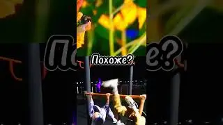 Пожоже? #хахахах #shorts #бабочки #юмор